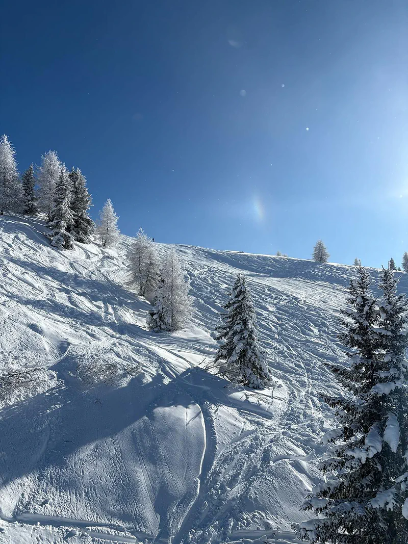 Snowy larches and groomed runs